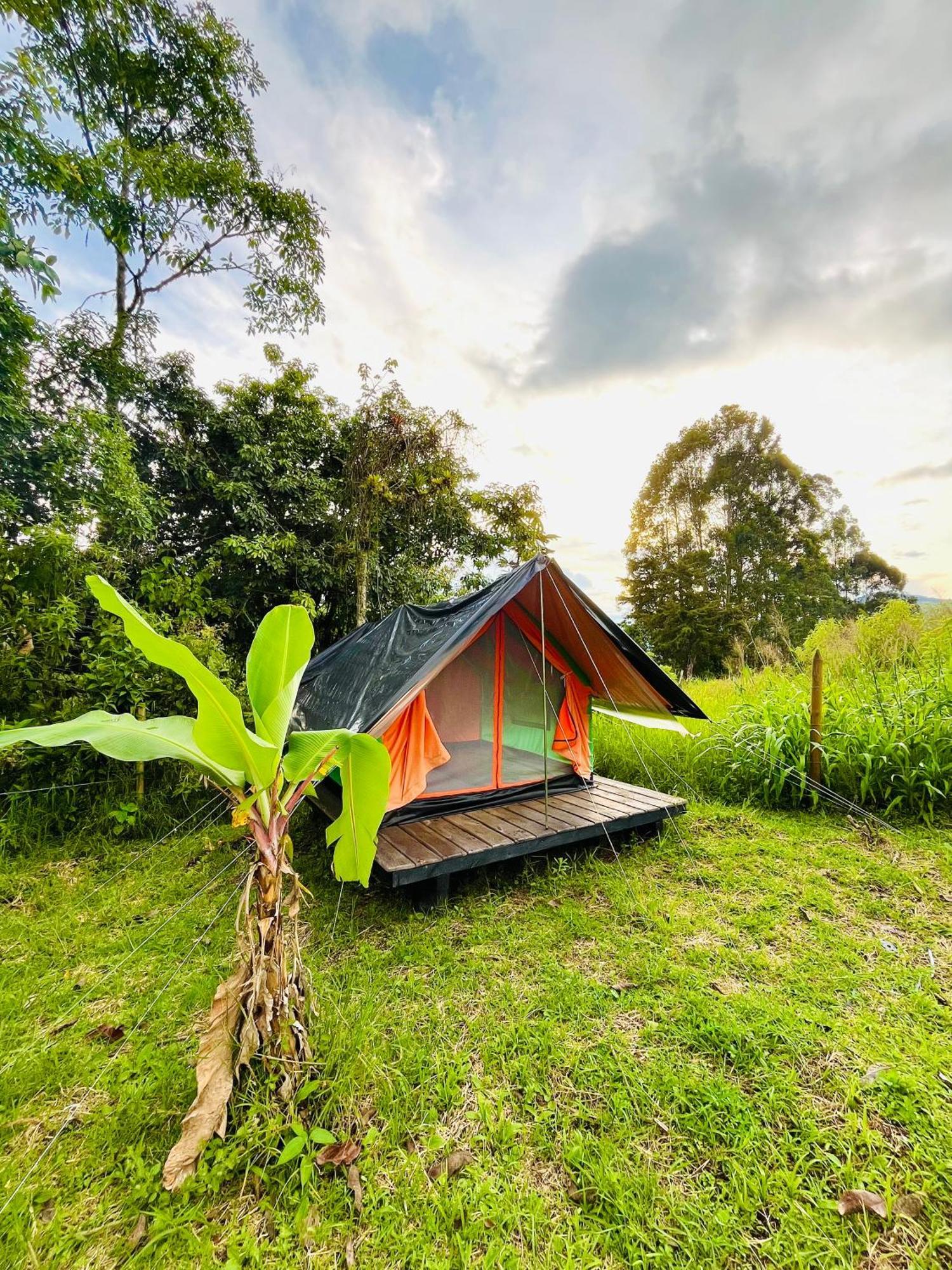 Ecoxplora-Zona De Camping Хардин Екстериор снимка